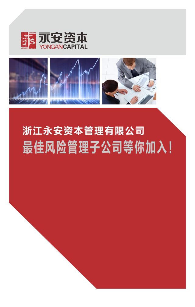 永安资本宣传册设计电子版